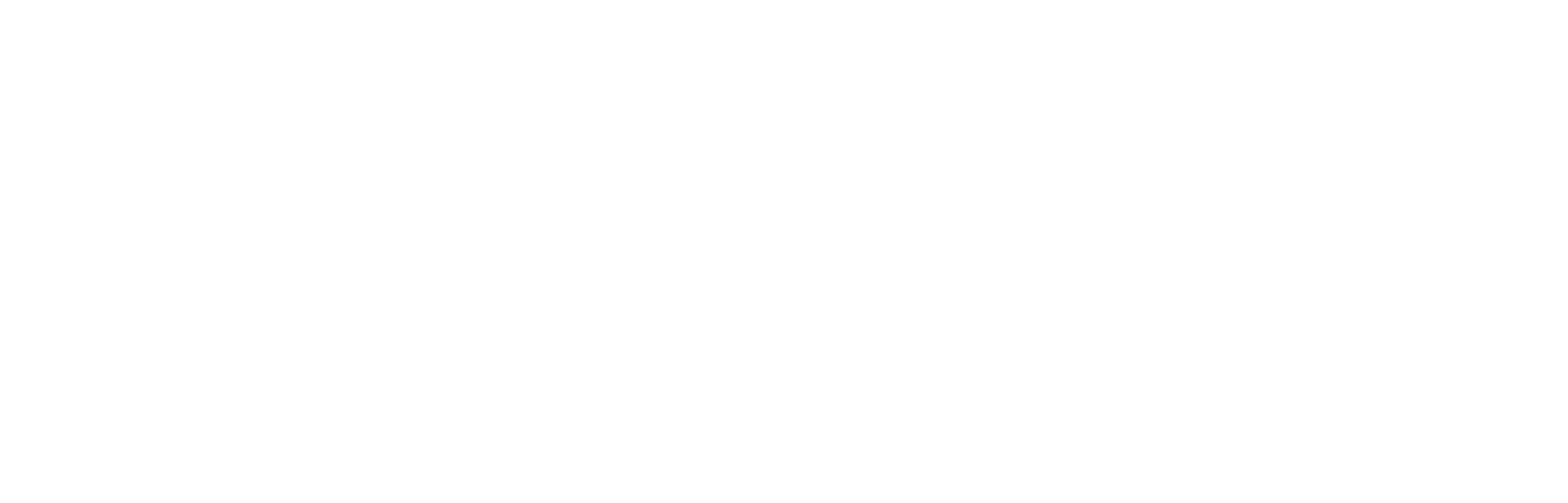 PHOTOGRAPHE CANNES